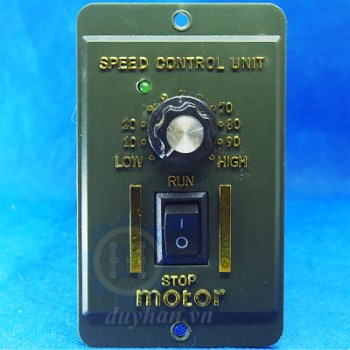 Bộ Điều Khiển Tốc Độ Động Cơ 250W Bộ Điều Khiển Tốc Độ Động Cơ 250W