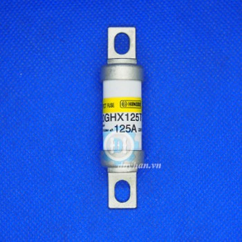 Cầu chì HINODE 660GHX125TC Cầu chì HINODE 660GHX125TC